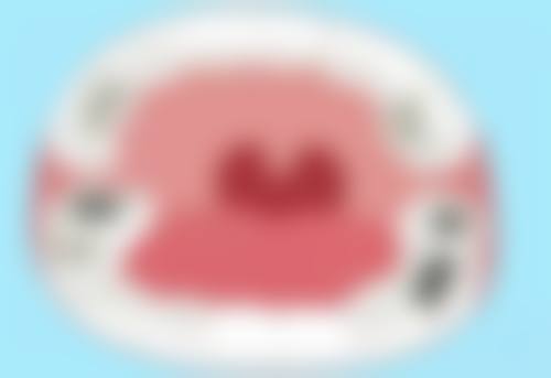 平原贞实口腔医生团队介绍