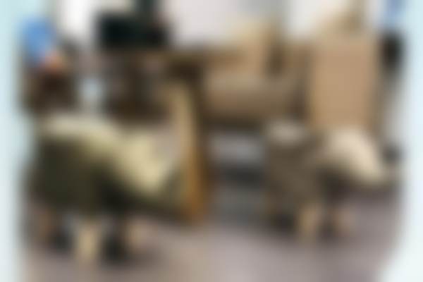 深圳角马口腔诊所预约挂号方式