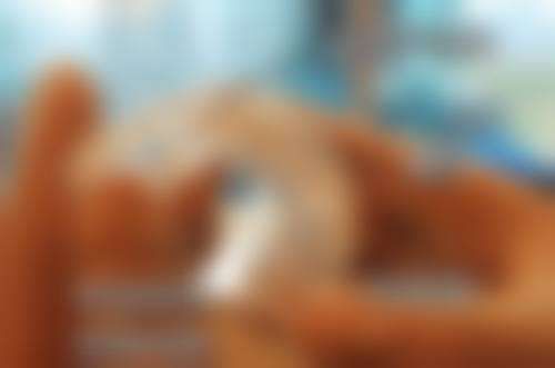 江苏徐州紫浩口腔地址电话、营业时间