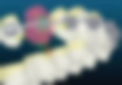 浙江台州利微口腔诊所预约挂号方式