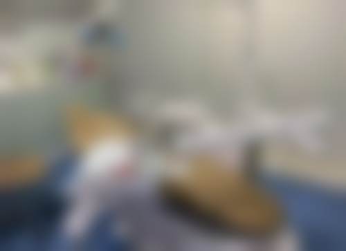 武汉优益佳口腔门诊部(香港路旗舰店)医生团队介绍