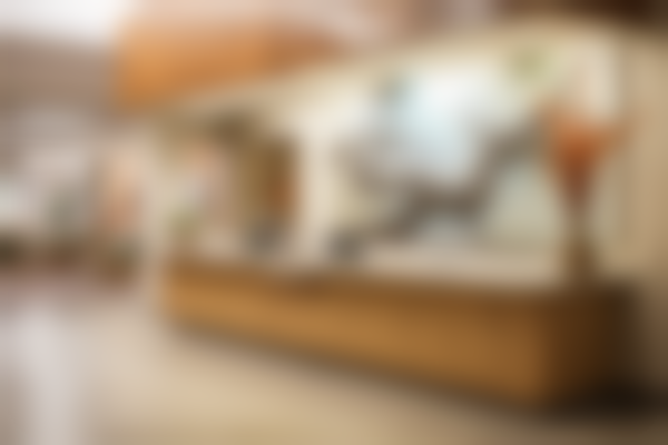 {扬州华亭口腔门诊部