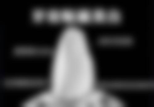 袁静雯相关经历亮点