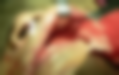 湖北十堰绽颜医疗美容口腔科医疗环境与配套设施