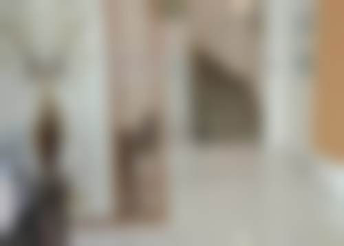 江门新会瑶美口腔诊所特色诊疗项目与技术优势