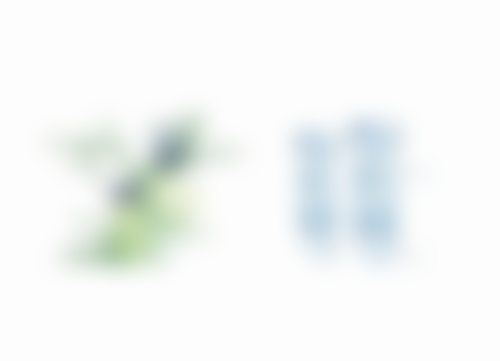 贵州贵阳柏雅口腔收费价格表