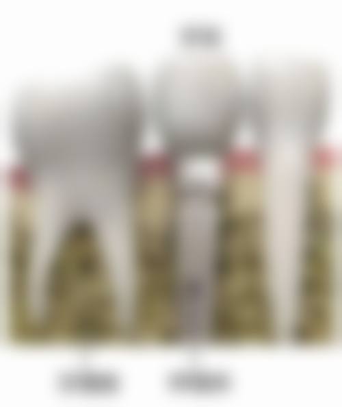 梅州中大口腔门诊部地址电话、营业时间