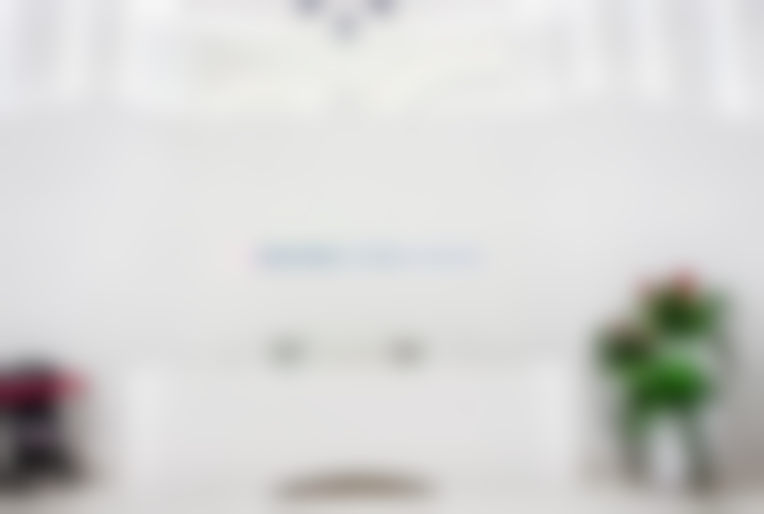 斯温/Sven博士项目收费价格