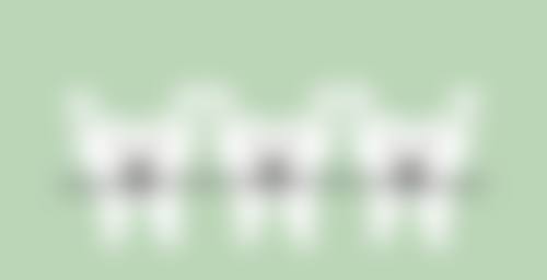 作家胡玥个人资料简介