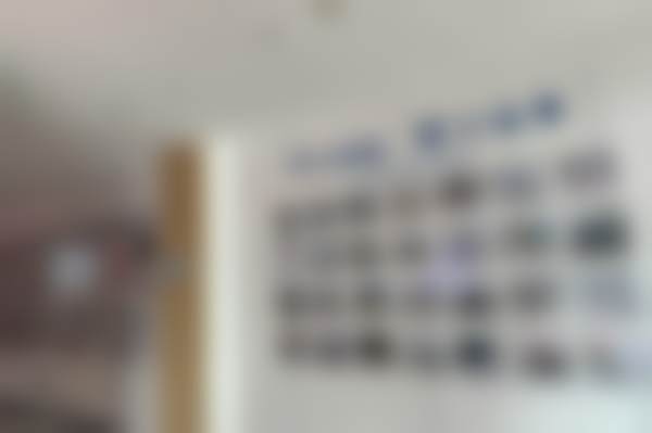 杨郁秀医生执医荣誉