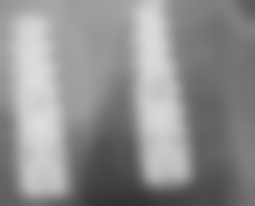 长春朗朗立民口腔门诊部医生团队介绍