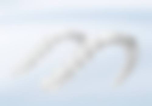 德州武城鲁名口腔预约挂号方式