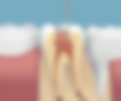 王文慧医生执医荣誉