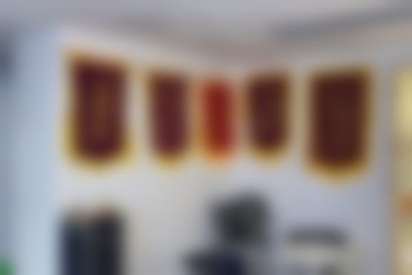 梁益建医生执医荣誉