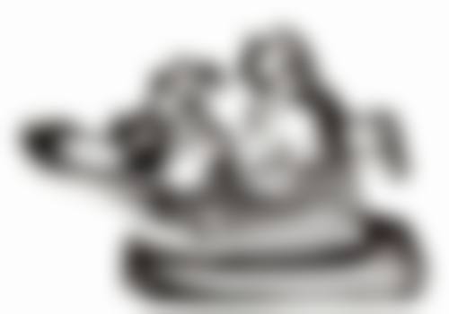 束氏口腔门诊部医生团队介绍