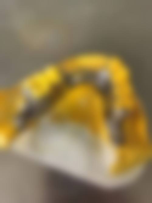 李凤元医生预约挂号