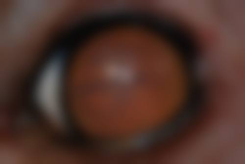 彭秀芹医生的学术成果