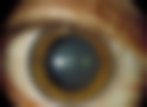 彭秀芹医生的从业经历