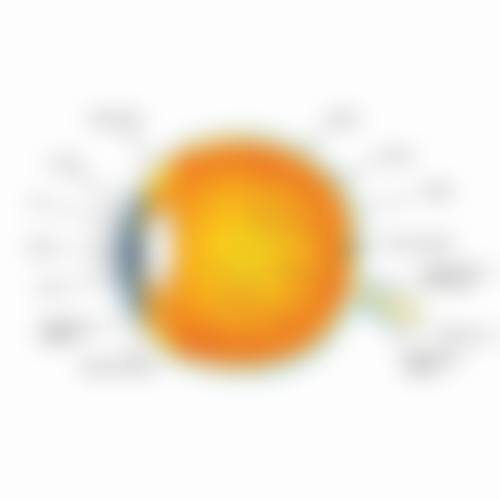 就诊价格及预约方式