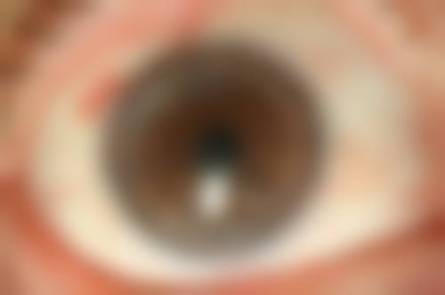 张立森医生坐诊医院