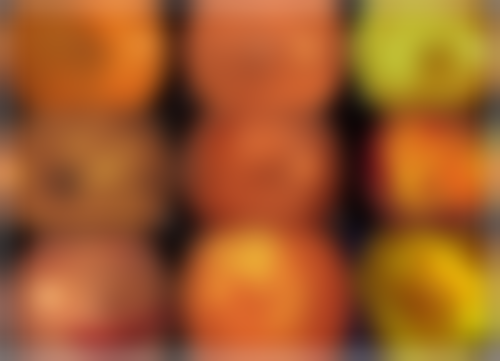 扈依惠医生擅长项目