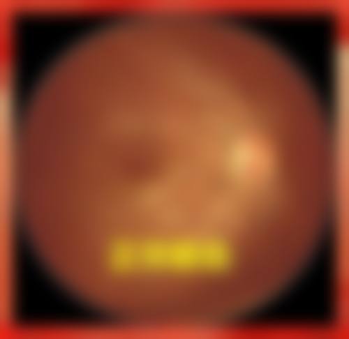 刘会娟医生坐诊医院