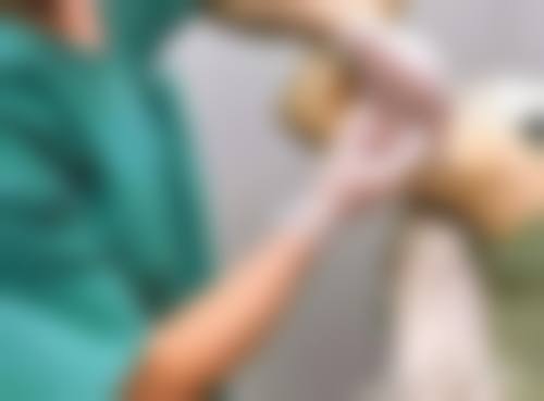 廊坊东方美容整形医院预约挂号方式。