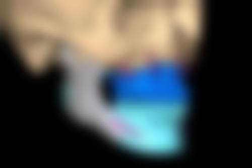 陈飞燕医生的从业经验