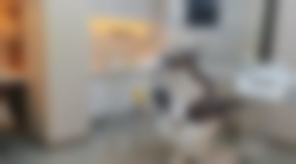 桂林美皓口腔门诊部擅长项目介绍