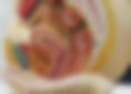 延世Plus整形外科医院治疗反馈与口碑评价。