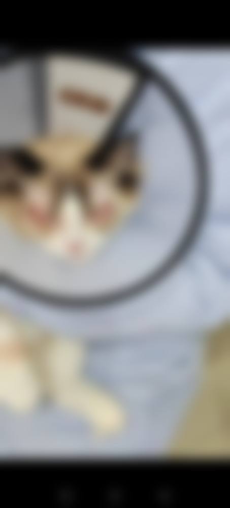 昆明阿玛施眼科门诊部治疗反馈与口碑评价。