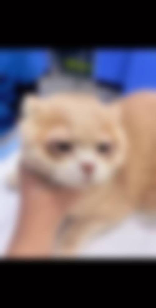 成都阳光爱盾眼科诊所地理位置便于到院。