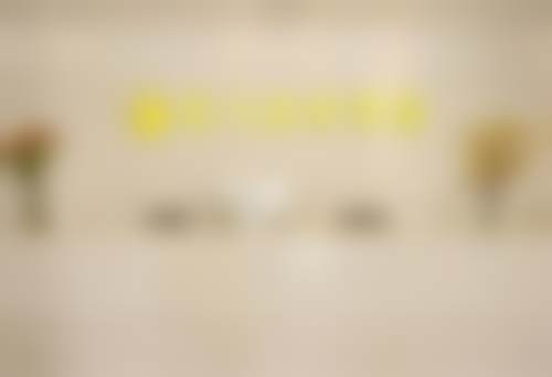广州佳人医疗美容医院地址
