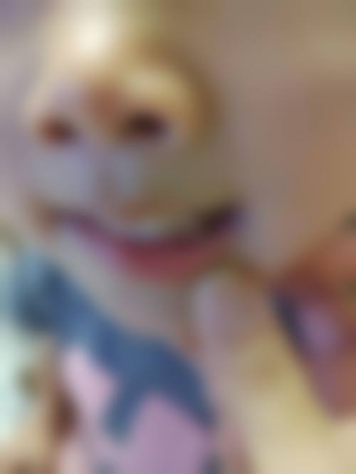 深圳王晶口腔诊所擅长项目。
