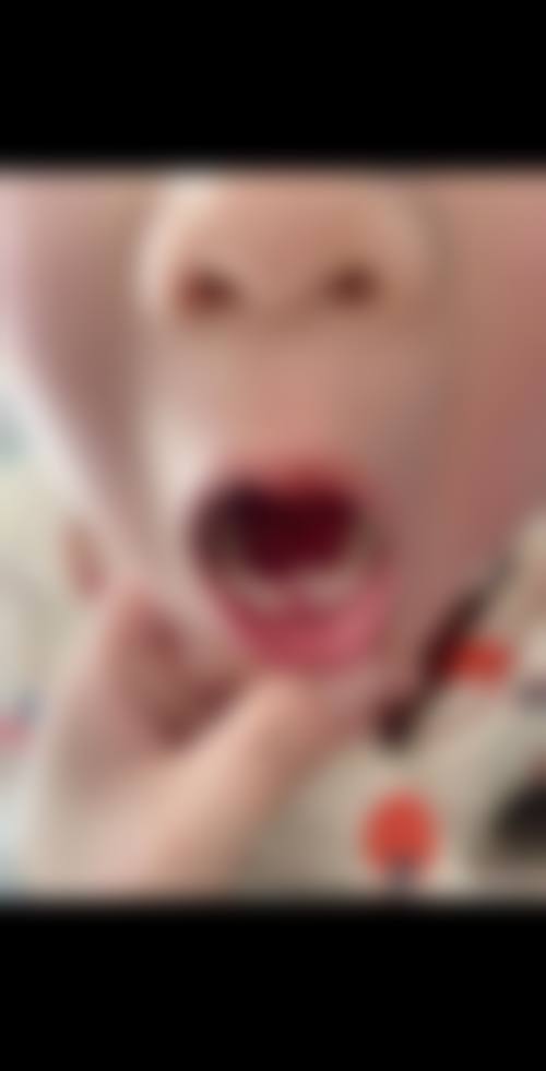 项目价格与预约方式