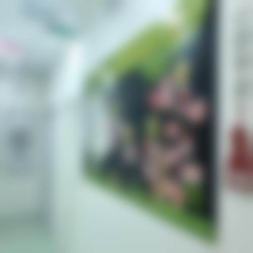 北京柠檬树口腔诊所特色诊疗项目与技术优势
