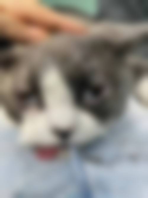 岳阳市中 心医院眼科门诊营业时间。