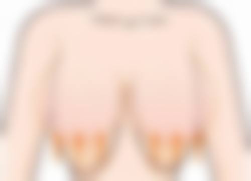 Dr.ham's整形外科擅长项目