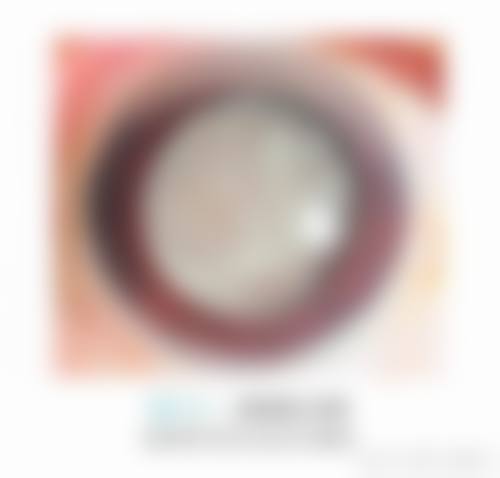 姚玉璠技术实力体现