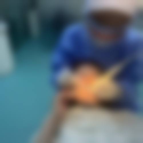威高口腔医学中 心(门诊部)预约挂号方式。