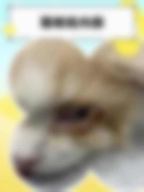 湘南学院附属医院眼科门诊营业时间。