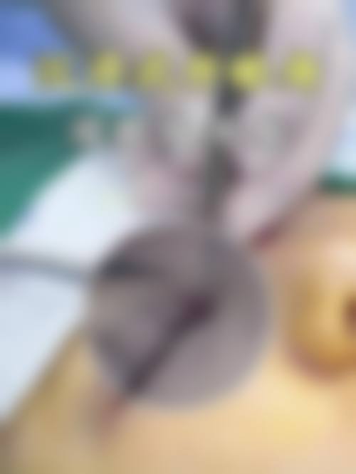 韩国Dream Face整形外科门诊营业时间。