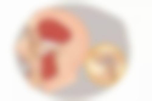 泰安诺尔口腔门诊营业时间。