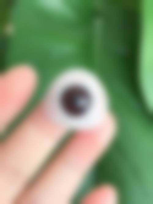 服务流程与患者保护