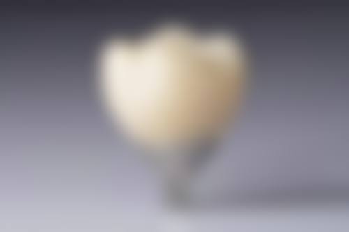 预约优惠活动