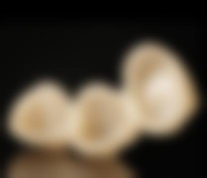 总结与预约号召