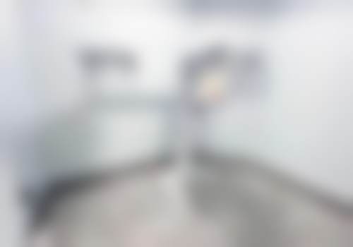 擅长项目详解