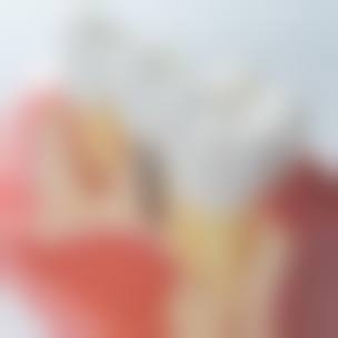 总结与预约引导