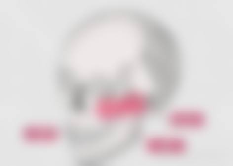 擅长项目详解