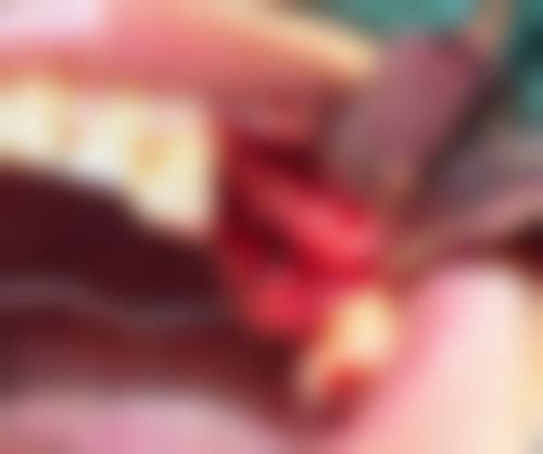服务流程与患者保护:从预约到售后